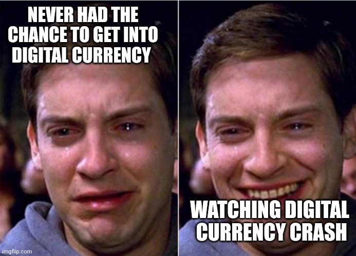 Peter Parker Sad Cry Happy cry | NEVER HAD THE CHANCE TO GET INTO DIGITAL CURRENCY; WATCHING DIGITAL
 CURRENCY CRASH | image tagged in peter parker sad cry happy cry | made w/ Imgflip meme maker