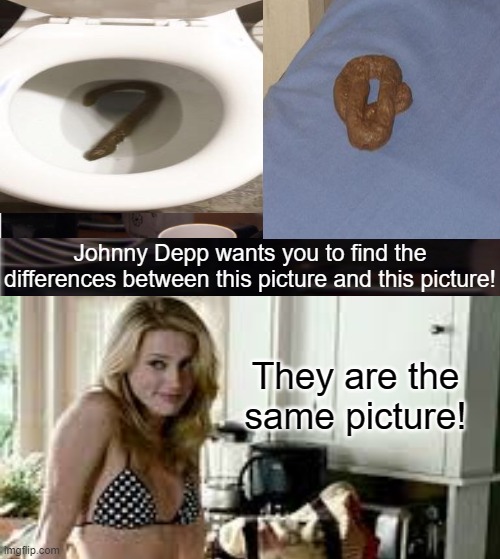 They are the same picture! | Johnny Depp wants you to find the differences between this picture and this picture! They are the same picture! | image tagged in amber heard | made w/ Imgflip meme maker