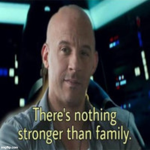 theres nothing stronger than family | image tagged in theres nothing stronger than family | made w/ Imgflip meme maker