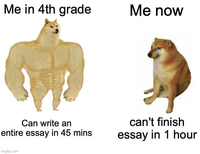 Buff Doge vs. Cheems | Me in 4th grade; Me now; Can write an entire essay in 45 mins; can't finish essay in 1 hour | image tagged in memes,buff doge vs cheems | made w/ Imgflip meme maker