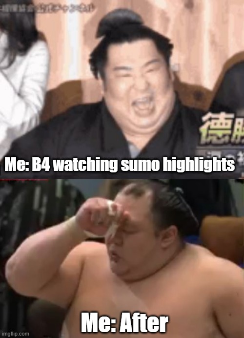 Sumo | Me: B4 watching sumo highlights; Me: After | image tagged in sumo | made w/ Imgflip meme maker