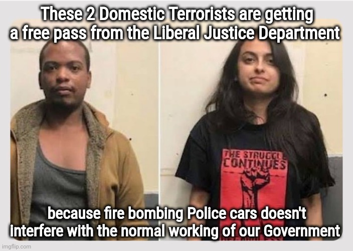 These 2 Domestic Terrorists are getting a free pass from the Liberal Justice Department because fire bombing Police cars doesn't interfere w | made w/ Imgflip meme maker