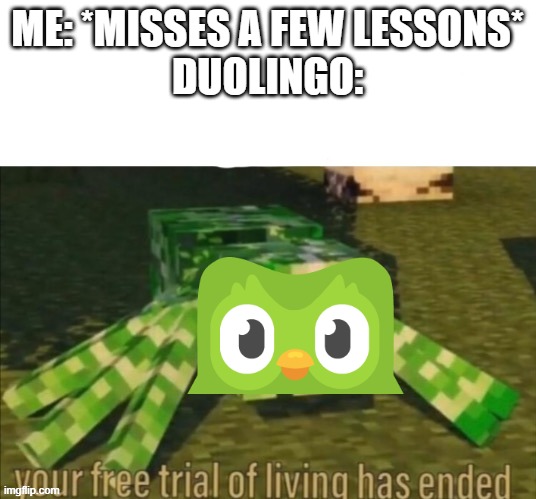 Duolingo | ME: *MISSES A FEW LESSONS*
DUOLINGO: | image tagged in your free trial of living has ended,duolingo,duolingo bird | made w/ Imgflip meme maker
