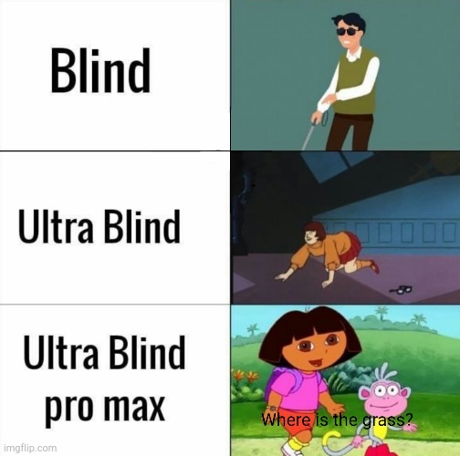 Types of blind people | image tagged in memes | made w/ Imgflip meme maker