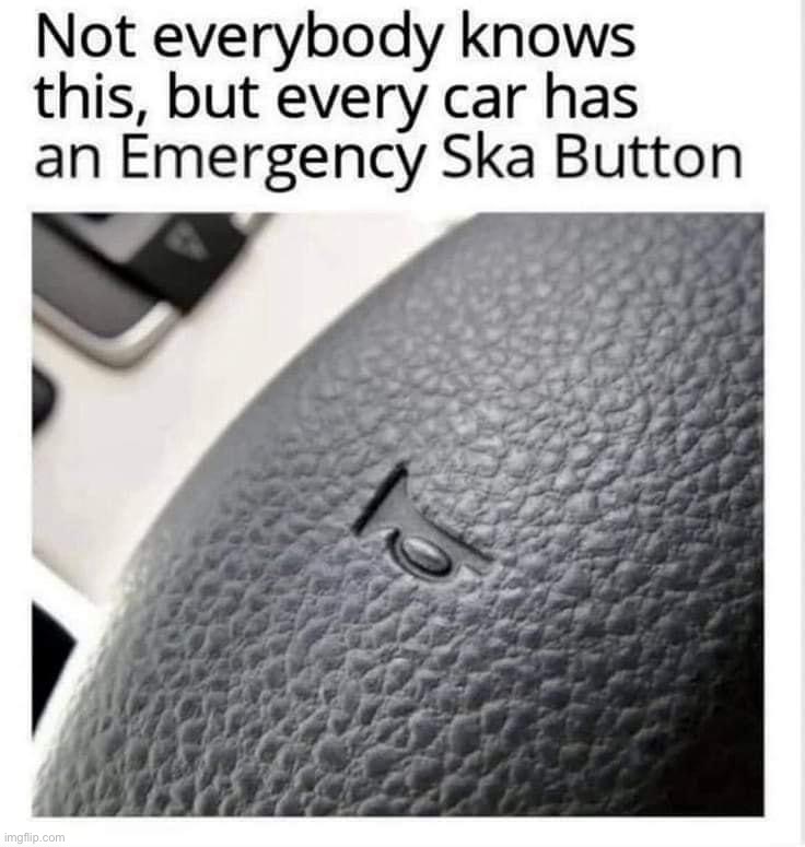 Emergency ska button | image tagged in emergency ska button | made w/ Imgflip meme maker