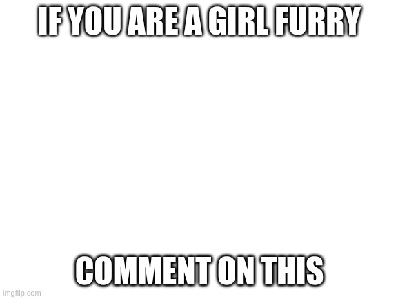 Blank White Template |  IF YOU ARE A GIRL FURRY; COMMENT ON THIS | image tagged in blank white template | made w/ Imgflip meme maker