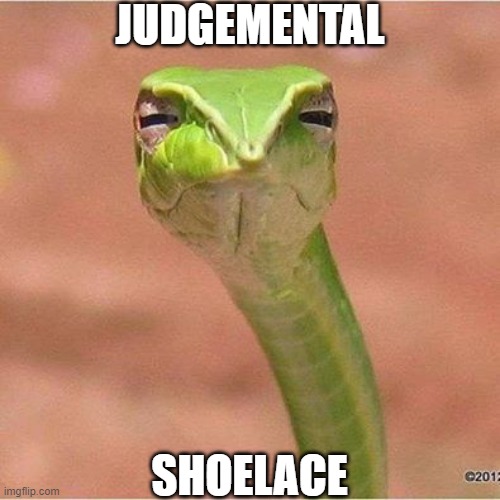 He Judge You | JUDGEMENTAL; SHOELACE | image tagged in snek blank,repost | made w/ Imgflip meme maker
