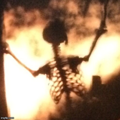 skelly boi | image tagged in skelly boi | made w/ Imgflip meme maker