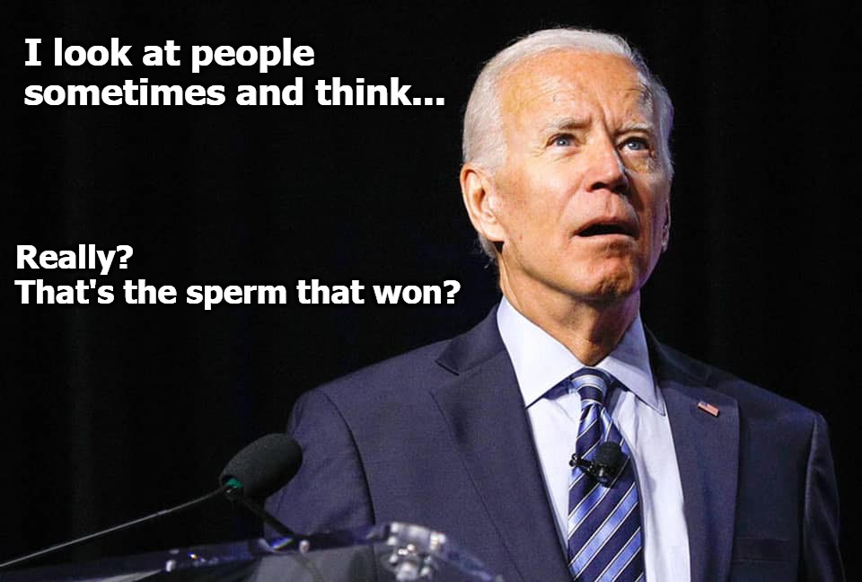 Really? That's the sperm that won? | I look at people sometimes and think... Really? 
That's the sperm that won? | image tagged in dopey joe biden,dementia joe biden,creepy uncle joe,creepy joe biden,lets go brandon,fuck joe biden | made w/ Imgflip meme maker