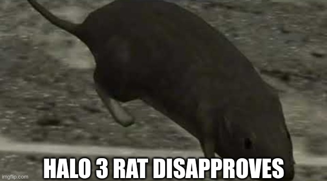 Halo 3 Rat | HALO 3 RAT DISAPPROVES | image tagged in halo 3 rat | made w/ Imgflip meme maker