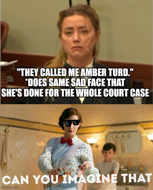Can amber turd imagine that | "THEY CALLED ME AMBER TURD."
*DOES SAME SAD FACE THAT SHE'S DONE FOR THE WHOLE COURT CASE | image tagged in amber turd,can you imagine that | made w/ Imgflip meme maker