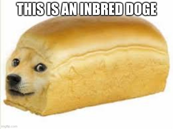 Doge bread | THIS IS AN INBRED DOGE | image tagged in doge bread | made w/ Imgflip meme maker