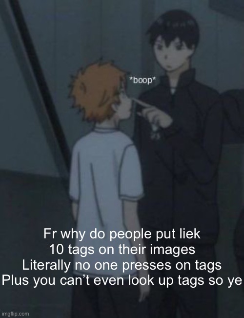 Boop | Fr why do people put liek 10 tags on their images
Literally no one presses on tags
Plus you can’t even look up tags so ye | image tagged in boop | made w/ Imgflip meme maker