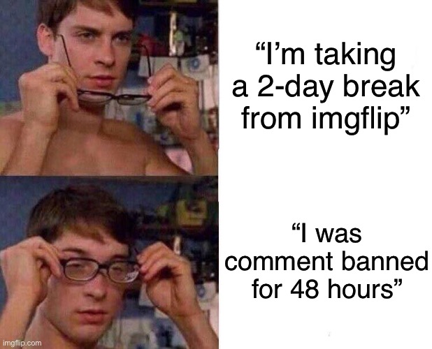 Spiderman Glasses | “I’m taking a 2-day break from imgflip”; “I was comment banned for 48 hours” | image tagged in spiderman glasses | made w/ Imgflip meme maker
