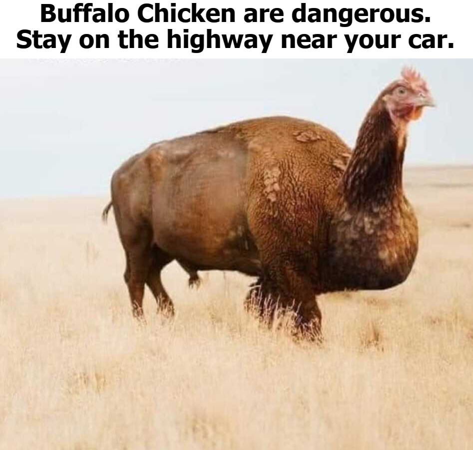 Buffalo Chicken are dangerous. Stay on the highway near your car. | Buffalo Chicken are dangerous.
Stay on the highway near your car. | image tagged in buffalo chicken | made w/ Imgflip meme maker