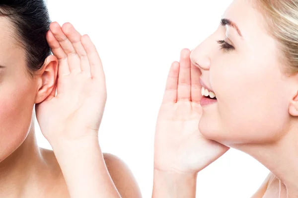 tell Blank Meme Template