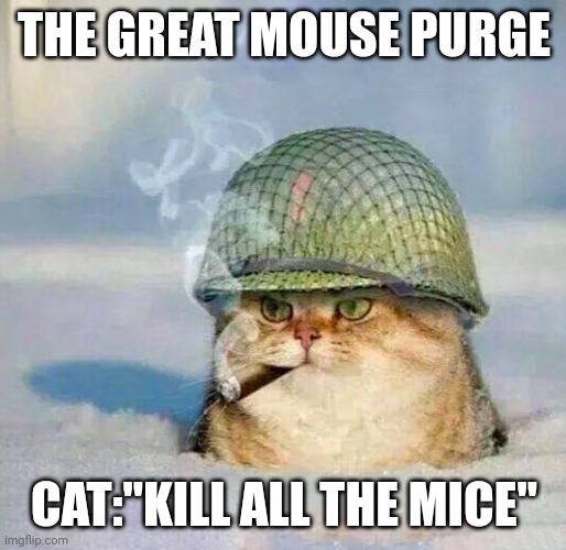 War Cat |  THE GREAT MOUSE PURGE; CAT:"KILL ALL THE MICE" | image tagged in war cat | made w/ Imgflip meme maker