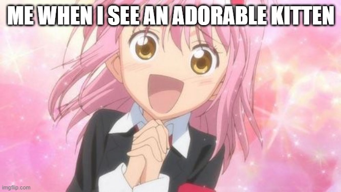 Me When I see a Kitten: | ME WHEN I SEE AN ADORABLE KITTEN | image tagged in aww anime girl | made w/ Imgflip meme maker