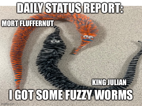 DAILY STATUS REPORT:; MORT FLUFFERNUT; I GOT SOME FUZZY WORMS; KING JULIAN | image tagged in fuzzy,worms,daily,status,report | made w/ Imgflip meme maker