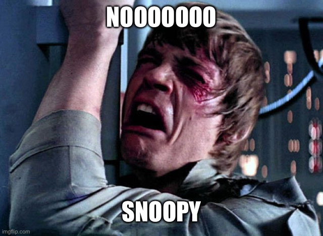Nooo | NOOOOOOO SNOOPY | image tagged in nooo | made w/ Imgflip meme maker