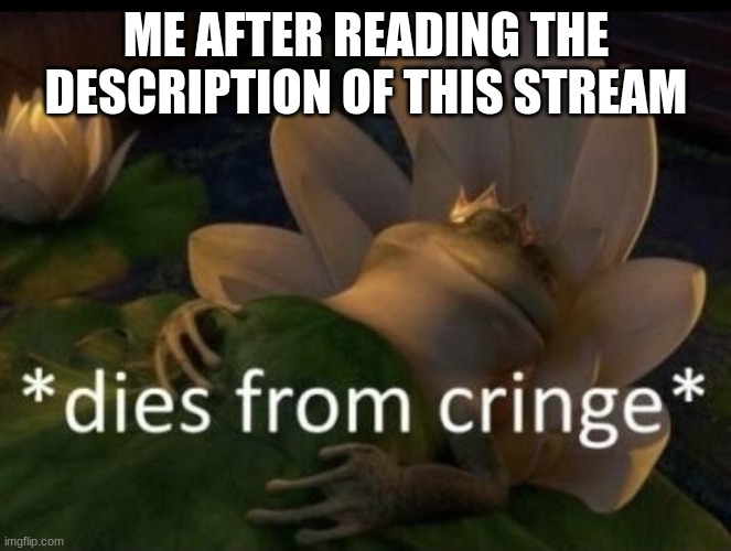 expect nsfw :/ |  ME AFTER READING THE DESCRIPTION OF THIS STREAM | image tagged in dies from cringe | made w/ Imgflip meme maker