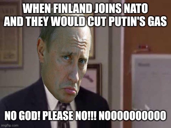 á | WHEN FINLAND JOINS NATO AND THEY WOULD CUT PUTIN'S GAS; NO GOD! PLEASE NO!!! NOOOOOOOOOO | image tagged in no god no god please no,putin,finland,russia,nato,gas | made w/ Imgflip meme maker