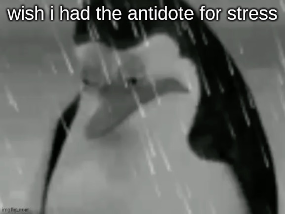 the sad | wish i had the antidote for stress | image tagged in the sad | made w/ Imgflip meme maker