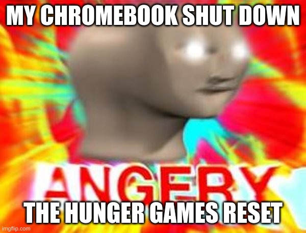 Surreal Angery | MY CHROMEBOOK SHUT DOWN; THE HUNGER GAMES RESET | image tagged in surreal angery | made w/ Imgflip meme maker
