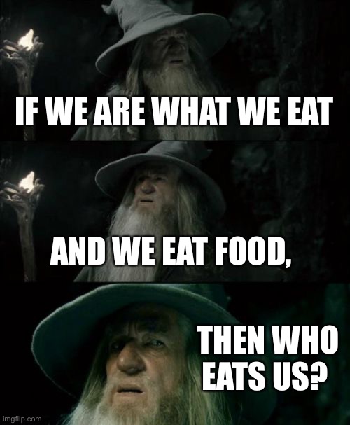 Thonk about it |  IF WE ARE WHAT WE EAT; AND WE EAT FOOD, THEN WHO EATS US? | image tagged in memes,confused gandalf,hmmmmm | made w/ Imgflip meme maker