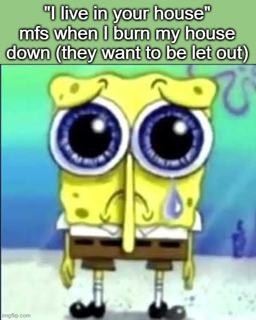 Sad Spongebob | "I live in your house" mfs when I burn my house down (they want to be let out) | image tagged in sad spongebob | made w/ Imgflip meme maker