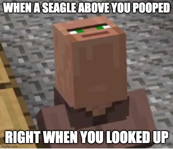 Unlucky villager | WHEN A SEAGLE ABOVE YOU POOPED; RIGHT WHEN YOU LOOKED UP | image tagged in minecraft villager looking up | made w/ Imgflip meme maker