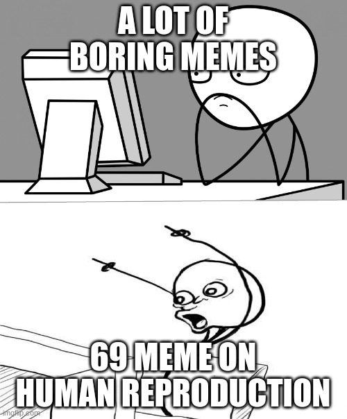 suprised computer guy | A LOT OF BORING MEMES 69 MEME ON HUMAN REPRODUCTION | image tagged in suprised computer guy | made w/ Imgflip meme maker