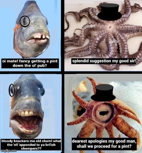 british fish convo | image tagged in british fish convo | made w/ Imgflip meme maker