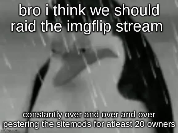 im talking relentlessly pressuring them | bro i think we should raid the imgflip stream; constantly over and over and over pestering the sitemods for atleast 20 owners | image tagged in the sad | made w/ Imgflip meme maker