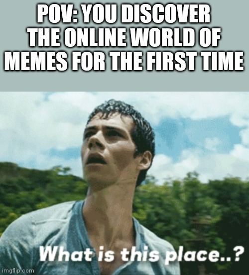 Maze Runner: What is this place! | POV: YOU DISCOVER THE ONLINE WORLD OF MEMES FOR THE FIRST TIME | image tagged in maze runner what is this place | made w/ Imgflip meme maker