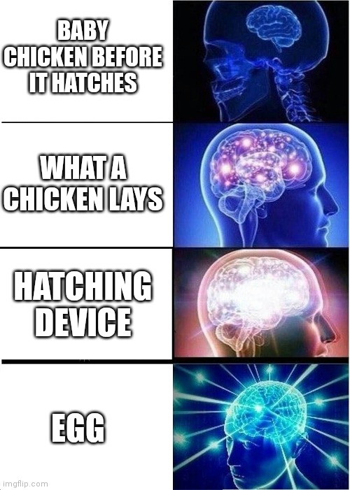 Egg | BABY CHICKEN BEFORE IT HATCHES; WHAT A CHICKEN LAYS; HATCHING DEVICE; EGG | image tagged in memes,expanding brain,egg,eggs | made w/ Imgflip meme maker