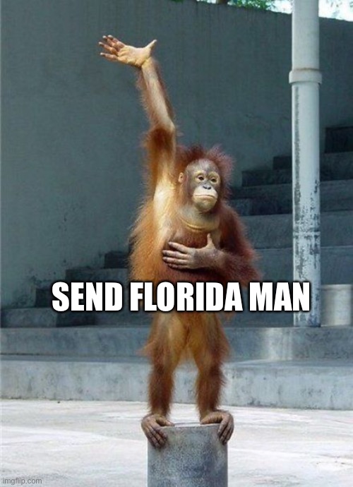 Monkey Raising Hand | SEND FLORIDA MAN | image tagged in monkey raising hand | made w/ Imgflip meme maker