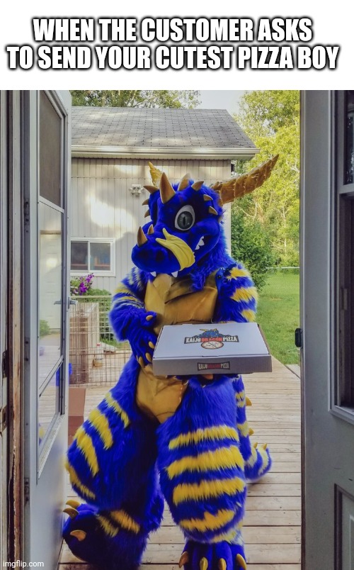 Original image by Khronos/Duke on Twitter |  WHEN THE CUSTOMER ASKS TO SEND YOUR CUTEST PIZZA BOY | image tagged in blank white template,fursuit | made w/ Imgflip meme maker
