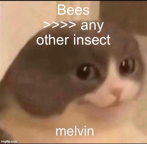 melvin | Bees >>>> any other insect | image tagged in melvin | made w/ Imgflip meme maker
