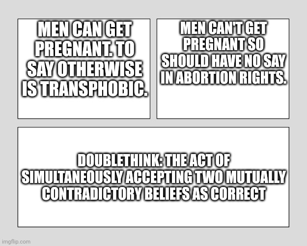 Abortion, transphobia, and doublethink | MEN CAN GET PREGNANT. TO SAY OTHERWISE IS TRANSPHOBIC. MEN CAN'T GET PREGNANT SO SHOULD HAVE NO SAY IN ABORTION RIGHTS. DOUBLETHINK: THE ACT OF SIMULTANEOUSLY ACCEPTING TWO MUTUALLY CONTRADICTORY BELIEFS AS CORRECT | image tagged in blank three panel,doublethink,1984,abortion,trans rights,leftist hypocrisy | made w/ Imgflip meme maker