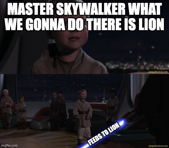 Master Skywalker Youngling | MASTER SKYWALKER WHAT WE GONNA DO THERE IS LION FEEDS TO LION | image tagged in master skywalker youngling | made w/ Imgflip meme maker
