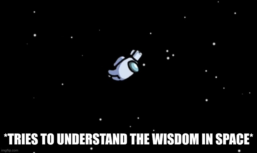 Among Us ejected | *TRIES TO UNDERSTAND THE WISDOM IN SPACE* | image tagged in among us ejected | made w/ Imgflip meme maker