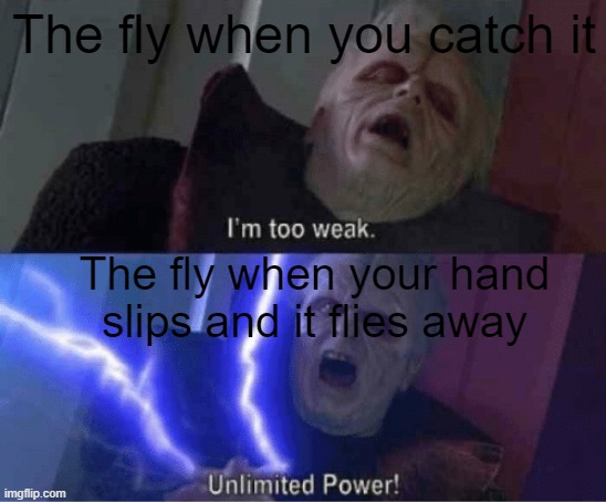 Think about it.. | The fly when you catch it; The fly when your hand slips and it flies away | image tagged in im too weak | made w/ Imgflip meme maker