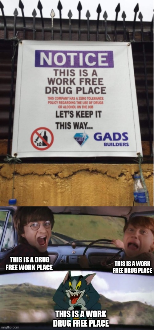 THIS IS A WORK FREE DRUG PLACE; THIS IS A DRUG FREE WORK PLACE; THIS IS A WORK DRUG FREE PLACE | image tagged in work free drug place,harry potter tom cat meme | made w/ Imgflip meme maker