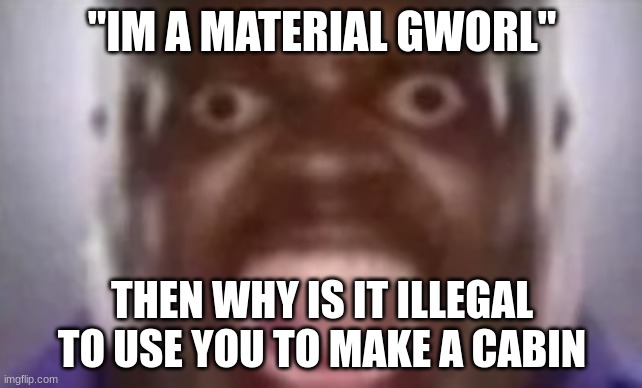 another guy screaming | "IM A MATERIAL GWORL"; THEN WHY IS IT ILLEGAL TO USE YOU TO MAKE A CABIN | image tagged in another guy screaming | made w/ Imgflip meme maker