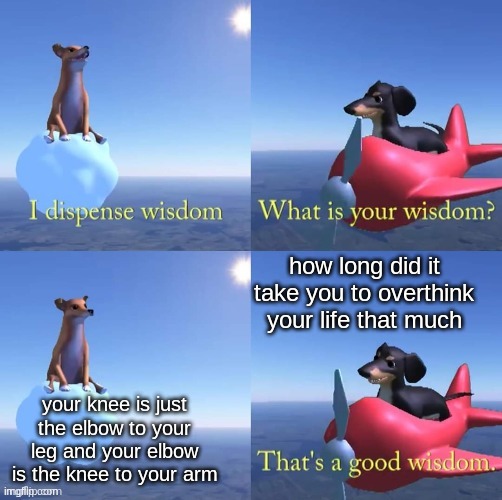 a |  how long did it take you to overthink your life that much; your knee is just the elbow to your leg and your elbow is the knee to your arm | image tagged in wisdom dog | made w/ Imgflip meme maker