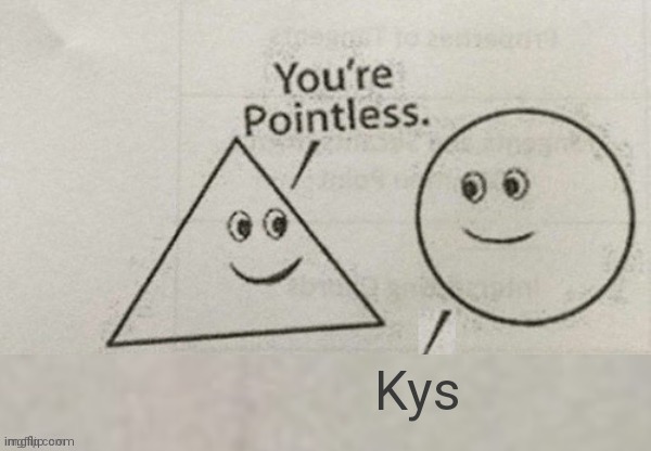 You're Pointless Blank | Kys | image tagged in you're pointless blank | made w/ Imgflip meme maker
