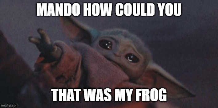 Dinner time at Mando's house | MANDO HOW COULD YOU; THAT WAS MY FROG | image tagged in baby yoda cry | made w/ Imgflip meme maker