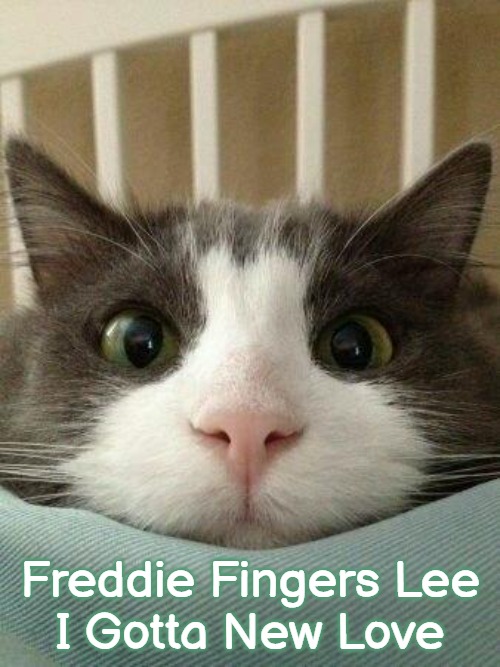 Hello Kitty Cat | Freddie Fingers Lee
I Gotta New Love | image tagged in hello kitty cat,slavic,i gotta new love,freddie fingers lee,blacklabel jedih,freddie fingaz | made w/ Imgflip meme maker