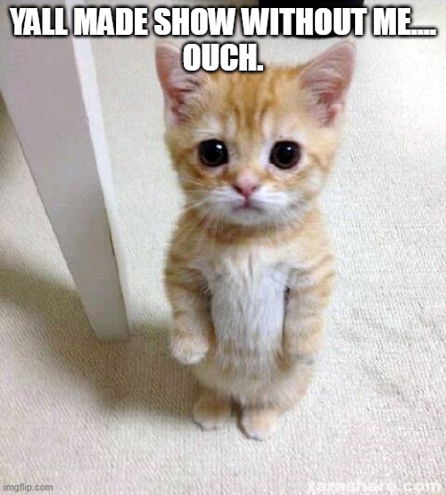 Cute Cat |  YALL MADE SHOW WITHOUT ME....
OUCH. | image tagged in memes,cute cat | made w/ Imgflip meme maker